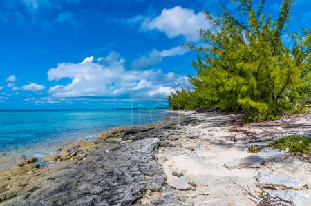 Foto de A view of a rocky shoreline on a deserted beach on the island of Eleuthera, Bahamas on a bright sunny day - Imagen libre de derechos