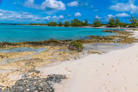 Téléchargez les photos : A view of the rocky shoreline and offshore reef in a deserted bay on the island of Eleuthera, Bahamas on a bright sunny day - en image libre de droit