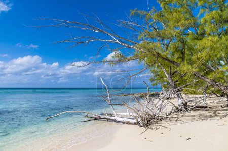 Foto de A view of a tropical paradise on a deserted bay on the island of Eleuthera, Bahamas on a bright sunny day - Imagen libre de derechos