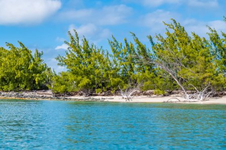 Foto de A view of the shoreline of a deserted bay on the island of Eleuthera, Bahamas on a bright sunny day - Imagen libre de derechos