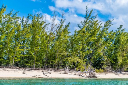 Foto de A view from the sea towards the shore of a deserted bay on the island of Eleuthera, Bahamas on a bright sunny day - Imagen libre de derechos