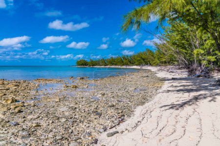 Foto de Una vista a lo largo de una costa rocosa hacia una bahía desierta en la isla de Eleuthera, Bahamas en un día soleado brillante - Imagen libre de derechos