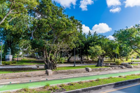 Foto de Una vista sobre el Parque en la Avenida Constitucional en San Juan, Puerto Rico en un día soleado - Imagen libre de derechos