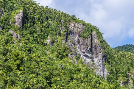 Téléchargez les photos : A close up view of a mountain peak in the tropical rainforest in Puerto Rico on a bright sunny day - en image libre de droit