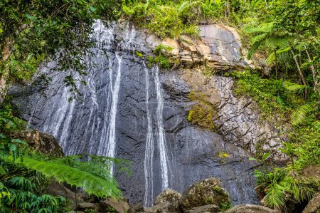 A view towards a waterfall in the tropical rainforest in Puerto Rico on a bright sunny day