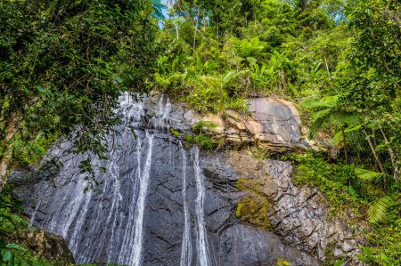 Téléchargez les photos : A view towards the top of waterfall in the tropical rainforest in Puerto Rico on a bright sunny day - en image libre de droit
