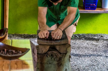 Téléchargez les photos : Une vue sur les fèves de coca moulues la façon traditionnelle d'extraire la poudre à La Fortuna, Costa Rica pendant la saison sèche - en image libre de droit