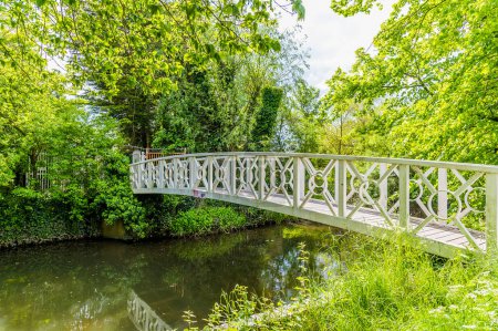 Téléchargez les photos : Une vue le long d'un pont sur un affluent de la rivière Great Ouse à St Ives, Cambridgeshire en été - en image libre de droit