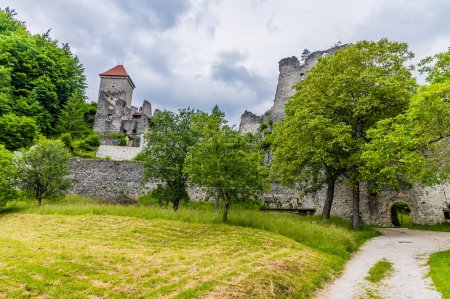 Téléchargez les photos : Vue vers les ruines du château de pierre à la périphérie de la ville de Begunje na Gorenjskem, Slovénie en été - en image libre de droit