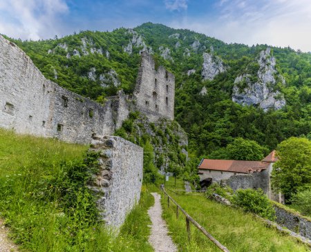 Téléchargez les photos : Une vue sur le côté des ruines du château de pierre à la périphérie de la ville de Begunje na Gorenjskem, Slovénie en été - en image libre de droit