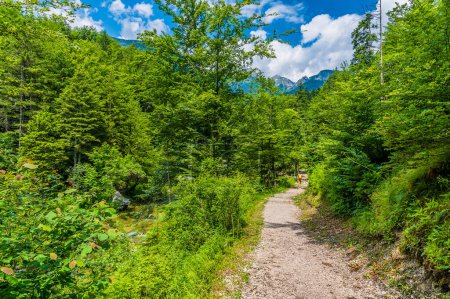 A view along the path above the Mostnica gorge close to lake Bohinj in Slovenia in summertime