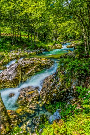 Téléchargez les photos : Vue à long terme de la rivière Mostnica et du lit rocheux de la gorge de Mostnica en Slovénie en été - en image libre de droit