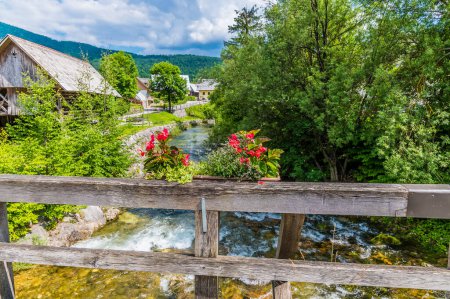 Téléchargez les photos : Une vue sur la rivière Mostnica dans le village alpin de Stara Fuzina au-dessus du lac Bohinj en Slovénie en été - en image libre de droit