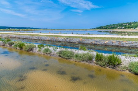 Photo for A view across the salt pans at Secovlje, near to Piran, Slovenia in summertime - Royalty Free Image