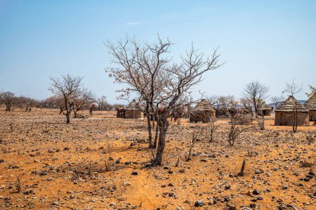Foto de Una vista hacia una aldea tradicional de la tribu Himba en Namibia en la estación seca - Imagen libre de derechos