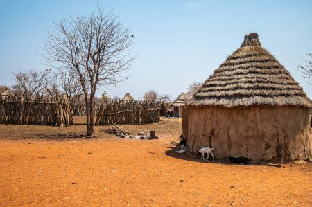 Foto de Una vista en el centro de una aldea tradicional de la tribu Himba en Namibia en la estación seca - Imagen libre de derechos