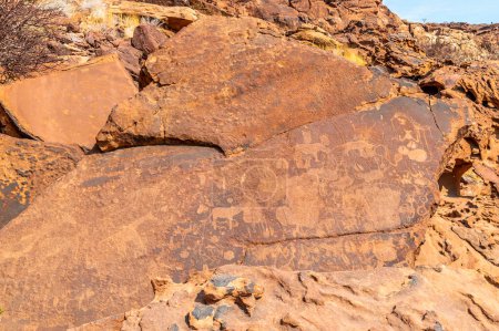 Téléchargez les photos : Vue d'anciennes sculptures rupestres sur des rochers de grès à Twyfelfontein en Namibie pendant la saison sèche - en image libre de droit