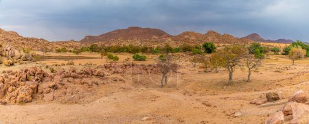 Photo for A panorama view across the landscape at Oruhito beside the Agab river in Namibia during the dry season - Royalty Free Image