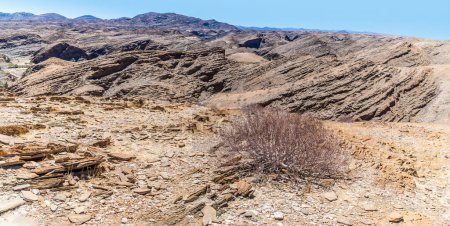 Téléchargez les photos : Vue sur la végétation clairsemée du col de Kuiseb dans le parc national Namib-Naukluft, Namibie en saison sèche - en image libre de droit