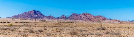 Téléchargez les photos : Une vue sur le paysage sec dans le parc national Namib-Naukluft, Namibie en saison sèche - en image libre de droit