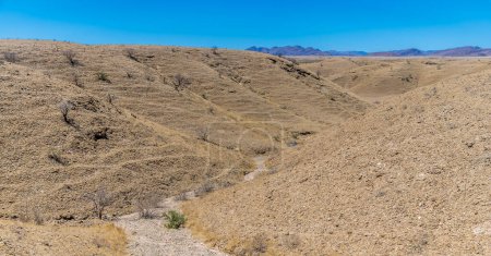 Téléchargez les photos : Une vue sur une vallée sèche dans le col de Kuiseb dans le parc national Namib-Naukluft, Namibie en saison sèche - en image libre de droit