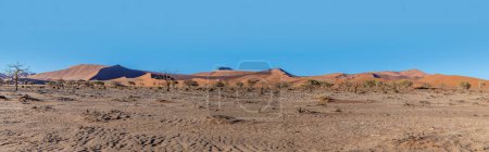 Foto de Una vista panorámica del sol de la madrugada destacando las caras orientales de las dunas en Sossusvlei, Namibia en la estación seca - Imagen libre de derechos