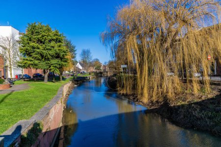 Téléchargez les photos : Une vue sur les saules pleureurs drapés à travers la rivière Welland dans le centre de Spalding, Lincolnshire par une journée ensoleillée - en image libre de droit