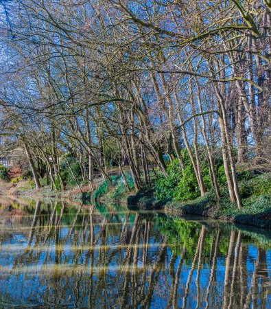 A view of reflections in the Grand Union canal near Market Harborough, UK on a bright Winter's day