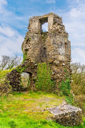 Téléchargez les photos : Vue vers l'intérieur de la tour sud-est dans les ruines du château de Narberth, Pemborkeshire, Pays de Galles au printemps - en image libre de droit