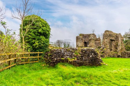 Téléchargez les photos : Une vue le long du mur est des ruines du château à Narberth, Pemborkeshire, Pays de Galles au printemps - en image libre de droit