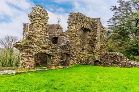 Téléchargez les photos : Vue vers la tour sud-ouest dans les ruines du château de Narberth, Pemborkeshire, Pays de Galles au printemps - en image libre de droit
