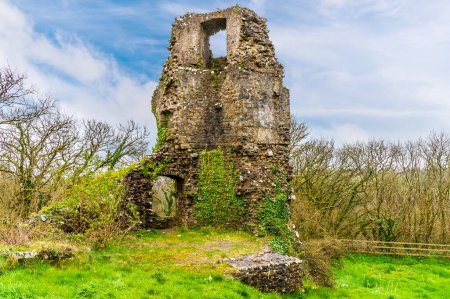 Téléchargez les photos : Vue vers la tour sud-est des ruines du château à Narberth, Pemborkeshire, Pays de Galles au printemps - en image libre de droit