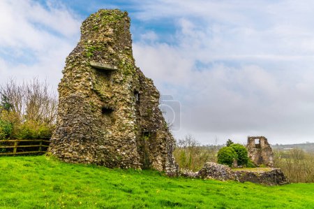 Téléchargez les photos : Une vue du côté est des ruines du château à Narberth, Pemborkeshire, Pays de Galles au printemps - en image libre de droit