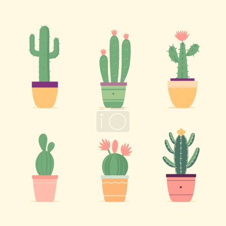 Set six cute cartoon cacti colorful pots. Different shapes cactuses, flowers, indoor plant decoration vector illustration