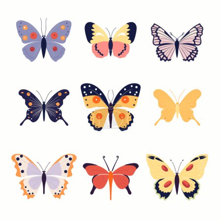Set verschiedene bunte Schmetterlinge Sammlung isoliert weißen Hintergrund. Verschiedene Schmetterlingsarten sortieren flache Designvektorillustration. Entomologie, Natur, Frühlingskonzept schöner Flügel
