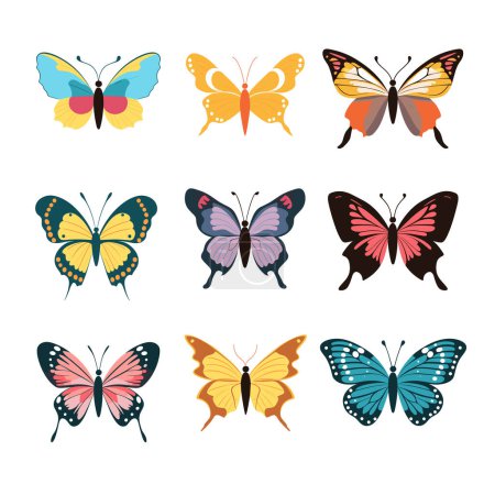 Neuf illustrations de papillons colorés sur fond solide. Collection dispose de diverses espèces de papillons divers motifs d'ailes teintes. Représentation artistique papillons appropriés