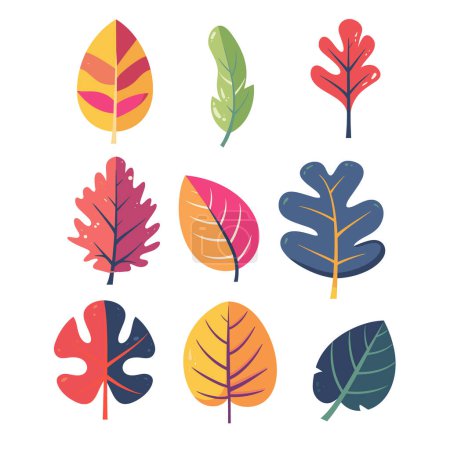 Ilustración de Colección colorido otoño hojas diseño plano aislado fondo blanco. Diferentes formas de colores que representan la temporada de otoño, follaje variación natural. Hojas estilo caricatura roble arce botánico - Imagen libre de derechos