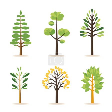 Six different cartoon trees varying leaf shapes colors represent changing seasons. Trees transition green yellow foliage indicating autumn, stylized simple, suitable educational material about