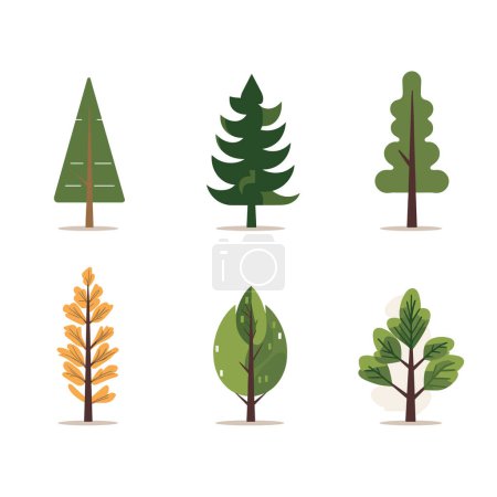 Set six different stylized trees vector illustration isolated white background. Various tree shapes leaf types including evergreen deciduous represented simple flat design. Nature, environment