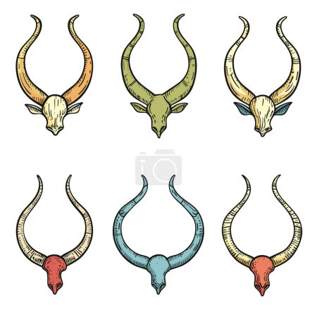 Six illustrated animal skulls horns various colors, vintage engraving style, skull has different hue, giving diverse set options artistic needs. Set against unblemished background suitable separate