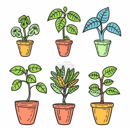 Téléchargez les photos : Six pots de plantes d'intérieur colorés illustration dessinée à la main. Plantes en pot d'intérieur croquis, jardinage botanique. Collection de plantes vibrantes, pots en terre cuite, décor maison - en image libre de droit