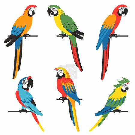 Six colorful parrot illustrations featuring various species perched different poses. Brightly colored feathers red, blue, green, yellow signify tropical birds. Exotic wildlife theme, cartoon style