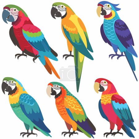 Six colorful cartoon parrots vibrant feathers standing. Brightly colored macaws illustrated various poses. Tropical birds vector illustration, exotic wildlife theme