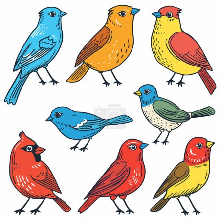 Illustration for Colorful birds illustration featuring multiple avian species. Variety songbirds presented vibrant hues, cartoon style. Set birds, handdrawn look, isolated white background - Royalty Free Image