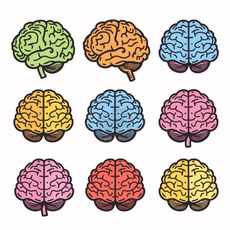 Set colorful brain icons representing different cognitive creative processes. Nine different brain illustrations symbolizing various mental functions. Graphic design human educational content