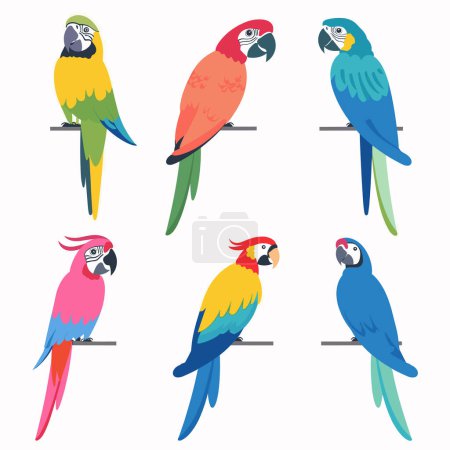 Six colorful parrots perched, vibrant tropical birds, varied plumage colors. Cartoon macaws illustrated, exotic wildlife drawings, avian species diversity. Flat design parrots, colorful feathers