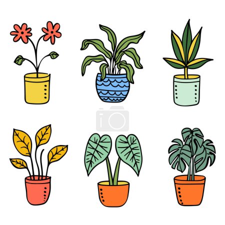 Téléchargez les illustrations : Six illustrations colorées de plantes d'intérieur en pot. pots lumineux diverses plantes d'intérieur, feuilles, fleurs. Cartoon style botanique collection amateurs de plantes - en licence libre de droit