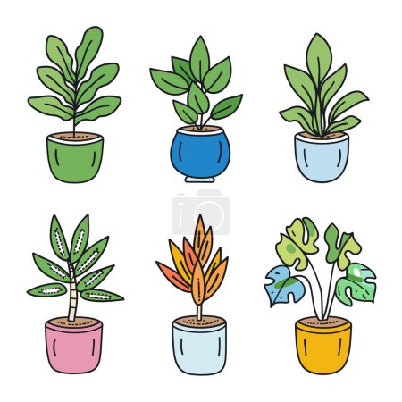Handdrawn potted plant collection includes six different houseplants. Vibrantly colored pots contrast lively green foliage. Simple clean line art style perfect gardening designs