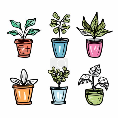 Setzen Sie sechs bunte handgezeichnete Topfpflanzen, verschiedene Arten Topffarben, Doodle-Stil Illustration. Indoor Gardening, Wohndekoration Konzept, grüne Pflanzgefäße. Lebendige Skizze von Zimmerpflanzen