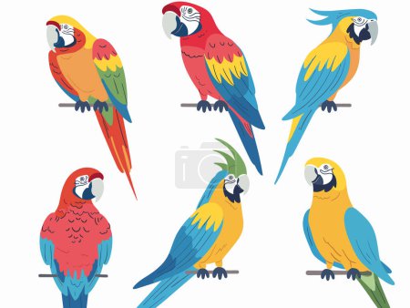 Setzen Sie bunte Papageien Illustrationen, verschiedene Haltungen Ausdrücke. Schöne tropische Vögel mit leuchtenden Federn, detailverliebtem Schnabel, verspielten Posen. Sammlung exotischer Aras, Cartoon-Stil, Thema Tierwelt